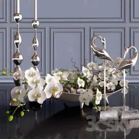 Decorative orchid